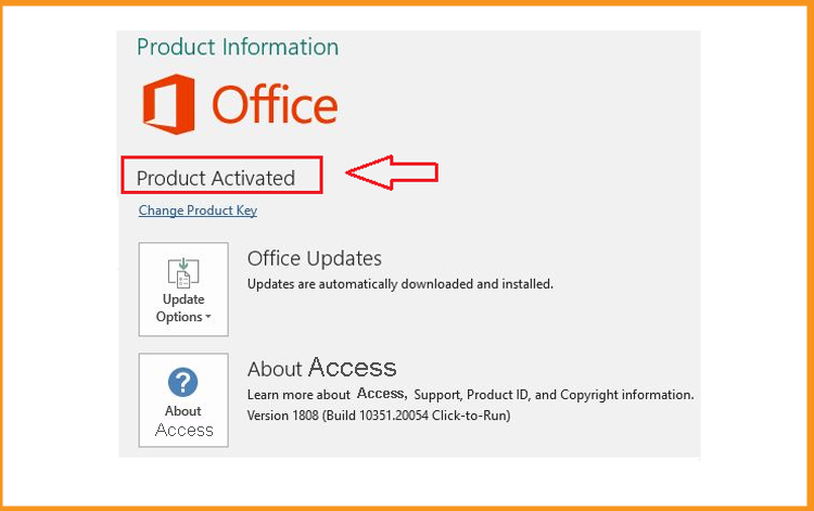 access-2019 finish-activate