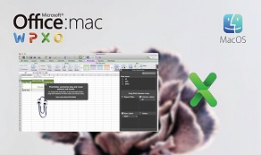 Office 2011 Home and Student for Mac Practical Spreadsheets