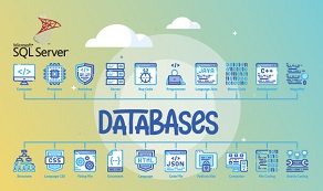 SQL Server 2019 Standard Microsoft improves its functionalities