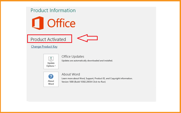  Word 2013