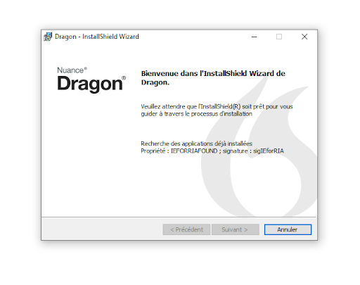 Nuance Dragon Professional 16