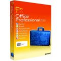Office 2010 Professional