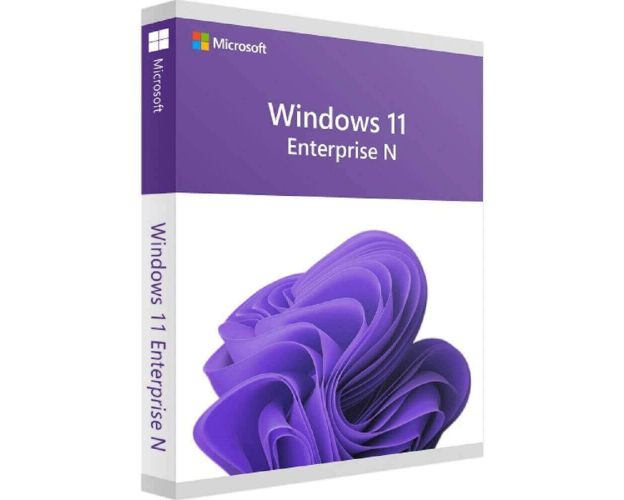 Windows 11 Enterprise N